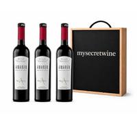Pack 3 Botellas Amaren Selección de Viñedos - Vino Tinto D.O.Ca. Rioja - Rioja Alavesa - Bodegas Amaren + Caja de Madera MySecretWine - Pack Regalo
