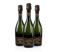 Pack 3 Botellas Kripta Icònic Corpinnat Brut Nature Gran Reserva 2018 - Espumoso Premium de Guarda Larga - Elaboración Artesanal - 75 cl x 3 -MYSECRETWINE-