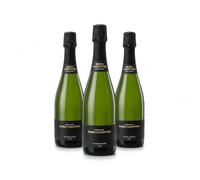 Pack 3 Botellas María Casanovas Brut de Brut Cava Ecológico Premium | Espumoso Método Tradicional | Elaboración Artesanal | 3 x 75 cl -MYSECRETWINE-