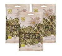 Pack 3 Gayuba Natur cid Bio 50 g, infusión ecológica de hojas de gayuba, sabor herbal intenso y aroma vegetal, formato ahorro para tisanas y uso diario, 150 g totales.