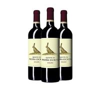 Pack 3 Rui Roboredo Madeira Quinta da Pedra Escrita Tinto 0,75L