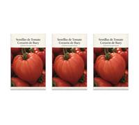 Pack 3 Sobres DECOALIVE: Semillas Tomate Buey | Tomate Corazón de Buey: Para Diversificar el Huerto Doméstico