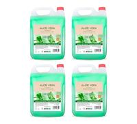 Pack 4 garrafas champú aloe vera 5 litros - total 20 litros - champú hidratante para todo tipo de cabello - solución profesional para centros educativos, gimnasios, hoteles o uso familiar - Intercabo