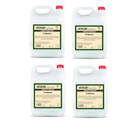 Pack 4 garrafas gel y champu - Te Blanco 5 litros - total 20 litros - fórmula pH neutro para piel y cabello - uso diario en hoteles, gimnasios, centros educativos y alojamientos - Intercabo Cosmetics