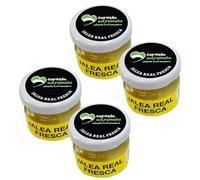 PACK 4 - Jalea Real Fresca 30 g - 100% Pura y Natural de España - Sin Lactosa - Bote de Cristal con Cuchara Dosificadora - Producto Apícola