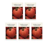 Pack 5 Sobres DECOALIVE: Semillas Tomate Buey | Tomate Corazón de Buey: Para Diversificar el Huerto Doméstico