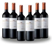 PACK 6 - Palacio Quemado Crianza 2022 D.O. Ribera del Guadiana 75 cl - Vino Tinto Moderno y Elegante - 95% Tempranillo y 5% Cabernet Sauvignon