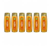 Pack 6 Sirope de Agave EcoBasics Bio 350 g, Endulzante Ecológico de Origen Vegetal para Cafés, Infusiones, Yogures, Repostería y Desayunos, Total 2,1 kg