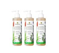 Pack ahorro 3 unidades de Champú revitalizante BIO 100% natural sin sulfatos | Sin sulfatos ni siliconas | Con coco, aloe vera, extracto de romero y manzanilla, hidratante y fortalecedor