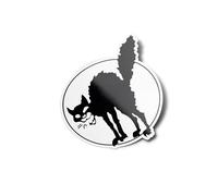 Pack autoadhesivos para gato negro con logo de símbolo político, 8 cm, vinilo, calidad resistente, agua y uv left fiesta, negro