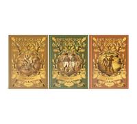 Pack Biblioteca Pérez Galdós, Episodios Nacionales II. Contiene 3 libros: Zaragoza, Gerona y Cádiz: V (RBA Coleccionables)