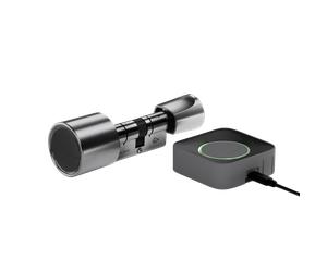 Pack bold elite sx33 color plata + bold connect