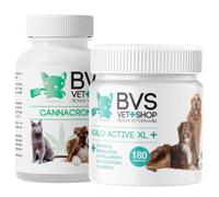 Pack Cannacronic + Hialo Active XL BVS