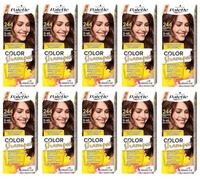 (Pack de 10) Palette Color Shampoo 3-65 (244) Coffee Brown Hair Color - Caja completa - con hoja de instrucciones en inglés