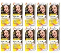 (Pack de 10) Palette Color Shampoo 5-0 (221) Middle Brown Hair Color - Caja completa - con hoja de instrucciones en inglés