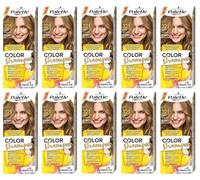 (Pack de 10) Palette Color Shampoo 8-00 (321) Medium Blond Hair Color - Full Box - With English Instruction Leaflet