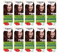 (Pack de 10) Palette Permanent Naturals Color Cream 3-68 Chocolate Brown Hair Color - Caja completa - con hoja de instrucciones en inglés