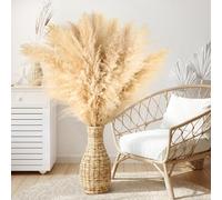 Pack de 10 Pampas secas Decoracion Grandes - Pampas Gigantes en Flores secas Decoracion para Estilo Boho, Ideal para salón, Dormitorio, Comedor, Bodas y hoteles