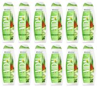 Pack de 12 unidades de detergente corporal Bagnodoccia gel de ducha, espuma de ducha con aloe vera, 500 ml