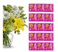 Pack de 15 Sobrecitos de Conservante Para Flor Cortada, Comida Para Flores Frescas Cortadas, 15 Paquetes de Conservante Total, 7.5L de Conservante Líquido