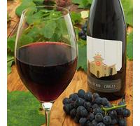 PACK DE 2 BOTELLAS DE VINO DE CANGAS DOP TINTO CRIANZA MONASTERIO DE CORIAS (75 cl.)