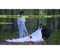 Pack de 3 cursos online de criminalística perfilación criminal medicina legal y toxicología