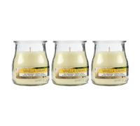 Pack de 3 Velas Aromáticas en Vaso de Yogurt de Cristal Reciclable - 24h de Duración，Cera Vegetal Perfumada, Fabricadas en España, 7x6cm (Vainilla Cream)