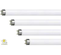 Pack de 4 fluorescentes de repuesto para trampa para insectos/matamoscas de 30 W de la marca Vermatik F15 T8 BL368