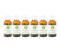 Pack de 6 aceites aromáticos de rosa jazmín, almizcle, sándalo, hierba de limón, vainilla, 100% puro, natural, para aromaterapia, spa, relajación, piel, cabello, velas aromáticas, juego de regalo