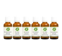 Pack de 6 aceites portadores con núcleo de albaricoque, argán, aguacate, semilla de uva, jojoba, semilla de rosa mosqueta, 100% puro, natural, para la piel, relajación, jabón, bálsamo labial, cremas