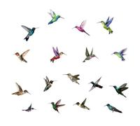 Pack De 8 Pegatinas De Colibrí Pintadas, Decoración Del Hogar, Pegatinas De Decoración De Paredes, Pegatinas De Pared Removibles, Pegatinas De Pared Creativas