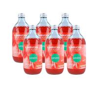 Pack de kombucha frutos rojos BIO | 6 unidades | Naturitas Essentials | 6 Unidades De 500Ml | Ayuda a la digestión y al sistema inmunológico | Refrescos