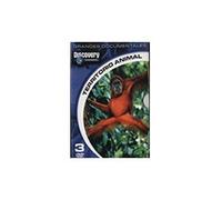 Pack Discovery - Territorio Animal [DVD]