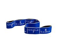 Pack Elastiband Sveltus 20kg