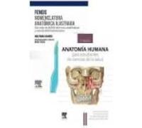 pack feneis nomenclatura ilustrada + suárez anatomia para estudia ntes
