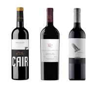 Pack Mysecretwine Grandes Ribera del Duero/ 1Capellanes Crianza, 1Cair La Aguilera, 1 Finca las cebollas