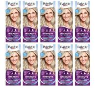 (Pack of 10) Palette Intensive Color Cream 10-1 (C10) Frosty Silver Blond - Full Box - With English Instruction Leaflet