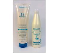 Pack Salerm 21 Shampoo Acido Hialuronico 300 ml + Salerm 21 250 ml Silk Protein