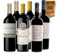 Pack Vinos Ribera del Duero - Envio 24h - Vinos Regalo - F.Resalso, C. Rodero 9m, Melior de Matarromera - Cosecha Privada (6 x Botella 75 cl, 1.06)