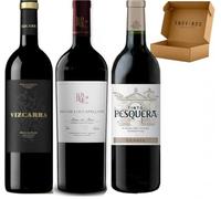 Pack Vinos Ribera del Duero - Envio 24h - Vinos Regalo - Vizacarra 15 Meses, Pago de los Capellanes Crianza, Pesquera Crianza - 3 x Botella 75 cl - Mejor Seleccion ENOVINOS THE WINE BRAND
