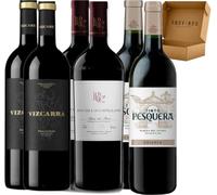 Pack Vinos Ribera del Duero - Envio 24h - Vinos Regalo - x2 Vizacarra 15 Meses, x2 Pago de los Capellanes Crianza, x2 Pesquera Crianza - 6 x Botella 75 cl - Mejor Seleccion ENOVINOS THE WINE BRAND