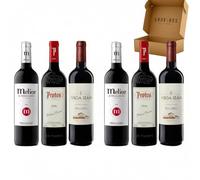 Pack Vinos Ribera del Duero Robles - Envio 24 h - Vinos Regalo - Corta crianza en barrica - 2x Melior, 2x Protos, 2 x Vega Izán - Mejor Seleccion ENOVINOS THE WINE BRAND