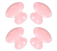 PACKOVE 4 Piezas Facial Gua Sha Massage Tool de Resina Forma de Masajeador Facial para Mejorar Absorción y Brillo Herramienta Multifunción para Cuidado de y Spa
