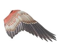 PACKOVE Ala de Cosplay Grande para Adultos, Decorativa de Tela No Tejida Negra, Accesorio de Disfraz para Fiestas de Carnaval y Representaciones Teatrales