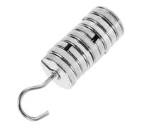 PACKOVE Juego de Pesas Ranuradas Metálicas para Laboratorio Gancho, Masas Cromadas de 10 G Cada, Diseñadas para Experimentos y Prácticas Escolares