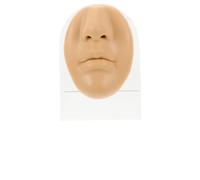 PACKOVE Modelo De Cara Para Exhibición Con Soporte 1 Unidad Tamaño Natural Flexible De Silicona Práctica De Perforación Facial Para Entrenamiento Escuelas y Salones