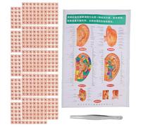 PACKOVE Parche De Acupuntura Para Orejas Pegatinas De Puntos De Acupuntura Con Pinzas Tabla De Puntos Auriculares Herramienta De Masaje Para Auricular Estimulación De Presión