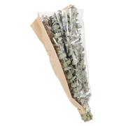 PACKOVE Ramo de Tallos de Eucalipto Secos y Manojos de Lavanda para Decoración Baño, Plantas de Ducha Colgantes Aroma Relajante y Material Resistente
