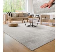 Paco Home Alfombra Moderna y Suave para Salón a Pelo Corto Lavable Fluffy Uni Efecto Piel Intemporal Elegante Antideslizante Fácil de Limpiar, tamaño:200x280 cm, Color:Plata