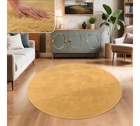 Paco Home Alfombra para Salón en Falsa Piel Suave Lavable Moderna Elegante Fácil de Limpiar Efecto Piel Uni Brillante Fluffy a Pelo Corto, tamaño:Ø 120 cm Redon, Color:Amarillo
